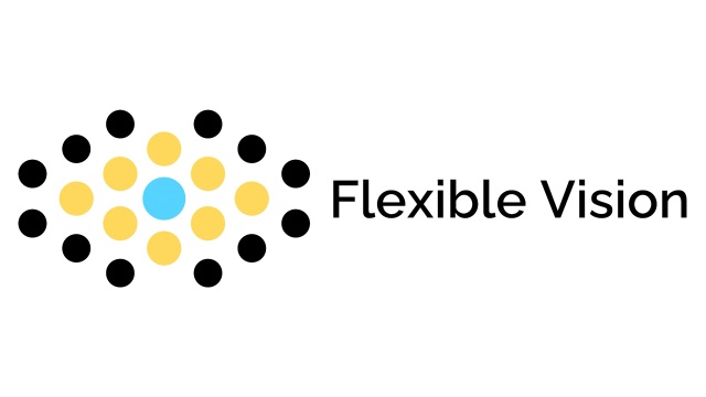 Flexible Vision